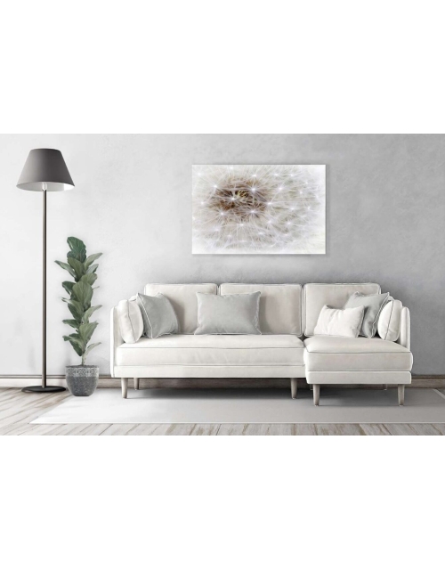 Dandelion Fluff Universe Abstract